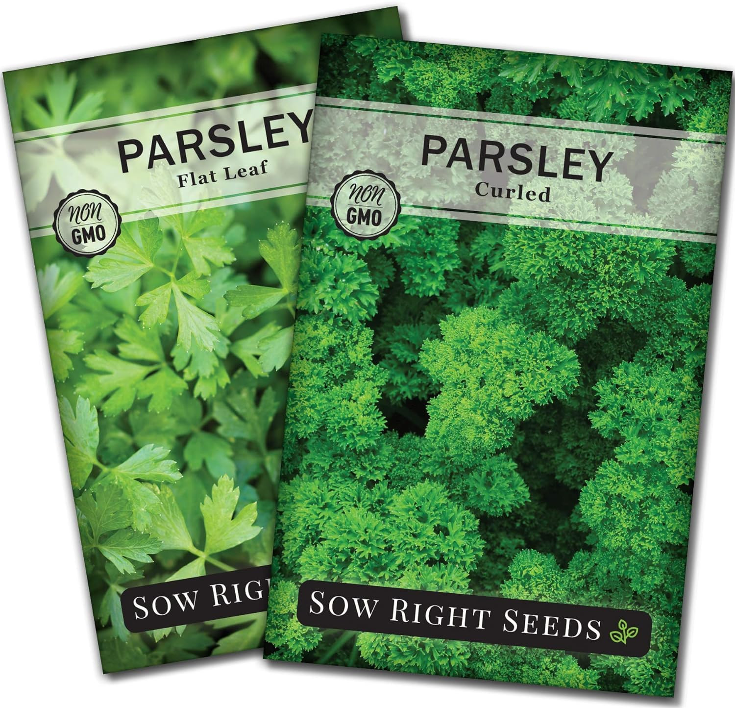 – Flat and Curly Leaf Parsley Seed Collection for Planting – Non-Gmo Heirloom Pa