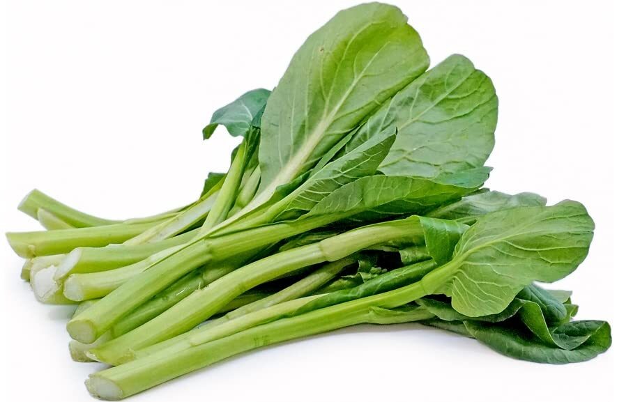 100+ Yu Choy Sum Seeds – Jung Green – Vegetable Seeds for Planting Outdoor Home