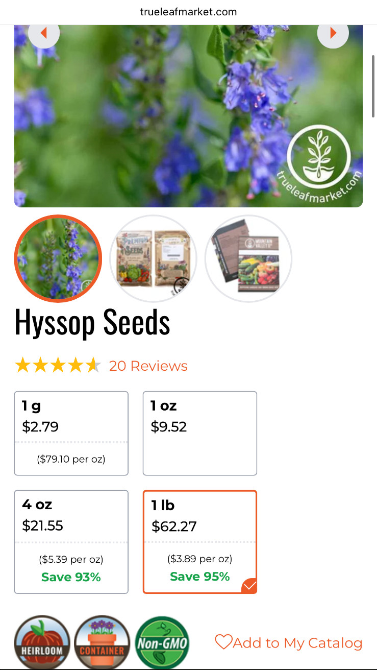 True Leaf Market Hyssop Seeds 1 LB 432,000 Seeds Herb Edible Flower Perennial