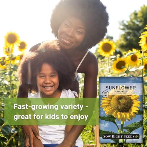 – Mammoth Sunflower Seeds to Plant – Grow Giant Sunflowers in Your Garden – 1