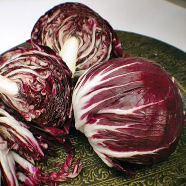 Radicchio Seeds Rossa Di Verona Heirloom Box Garden Seeds LLC Red Variety