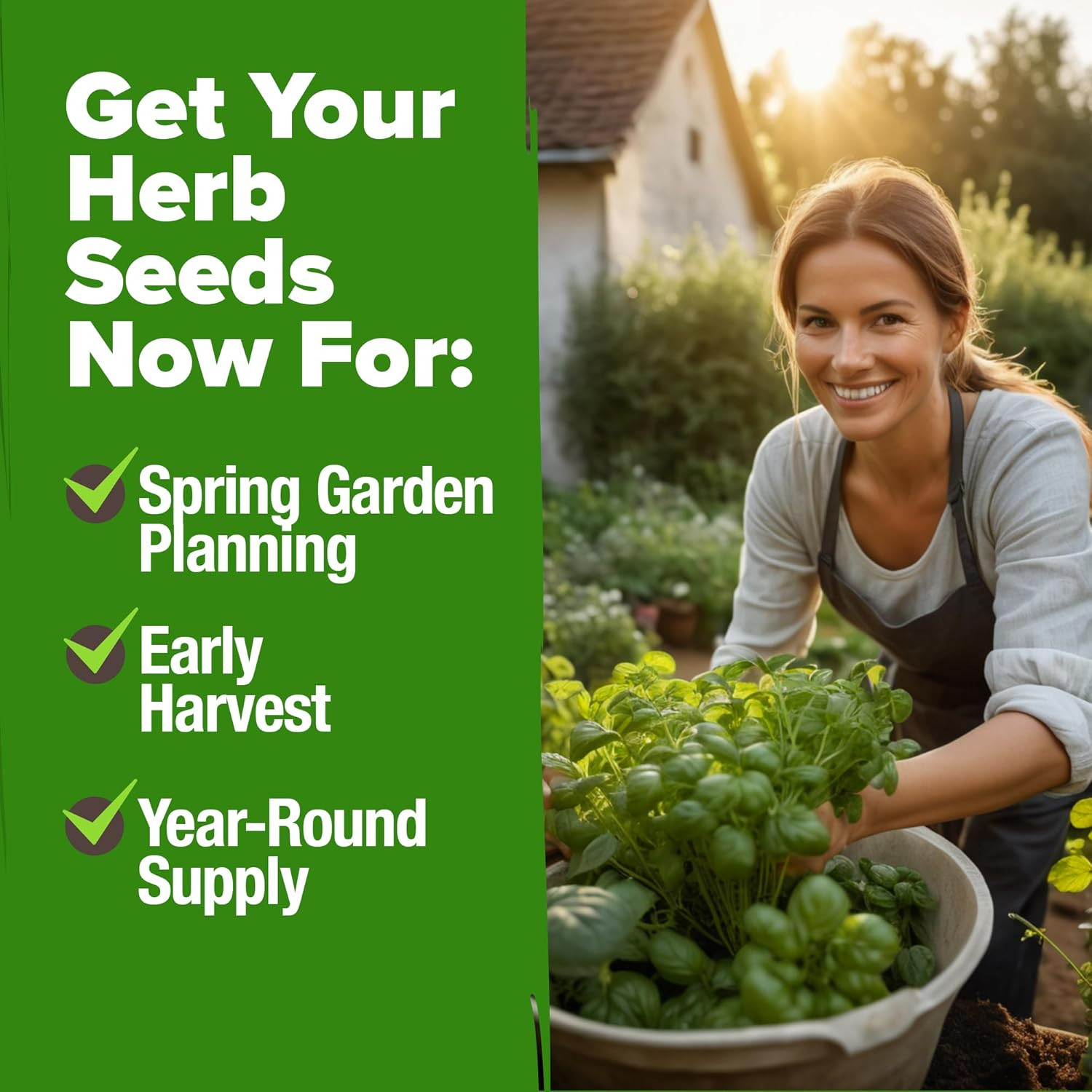 15 Non-GMO Heirloom Herb Seeds – Culinary Variety Pack for Indoor & Outdoor Use