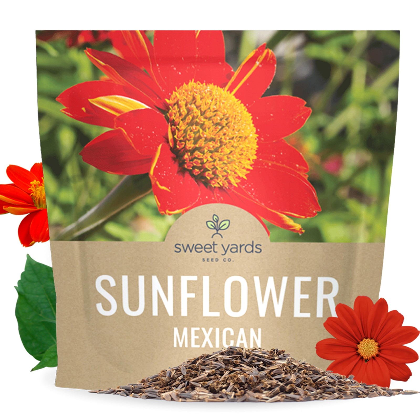 Mexican Sunflower Seeds Extra Large Packet Over 2,500 Seeds Tithonia