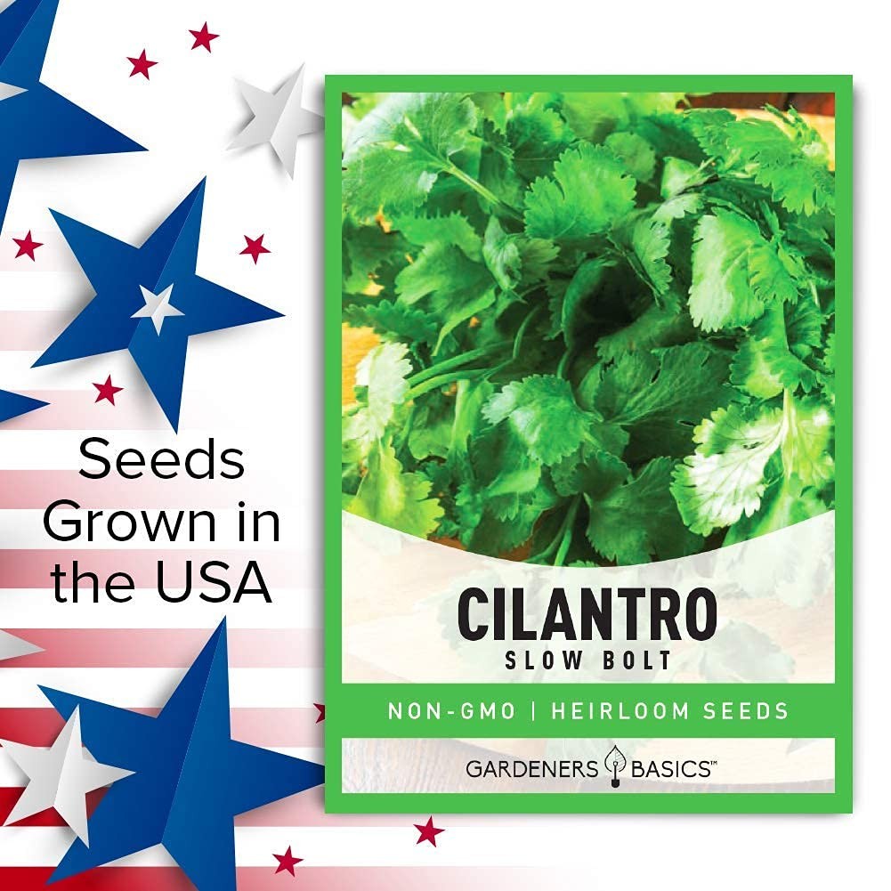 Cilantro Seeds for Planting Heirloom Non-GMO Herb Coriander Plant Seeds for H…