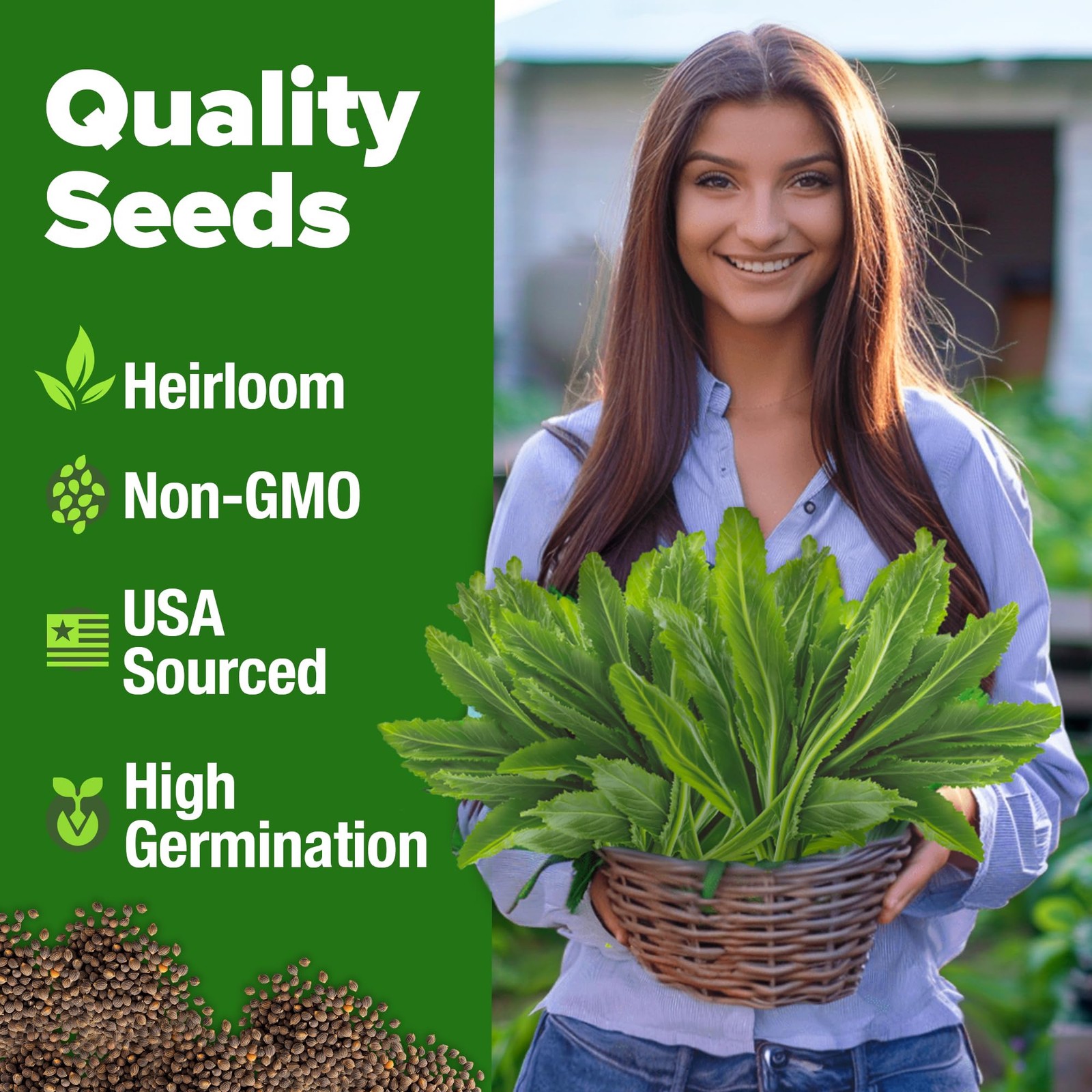 Non GMO Culantro Seeds 360 Herb Seeds for Planting Non-GMO Heirloom Variety, …