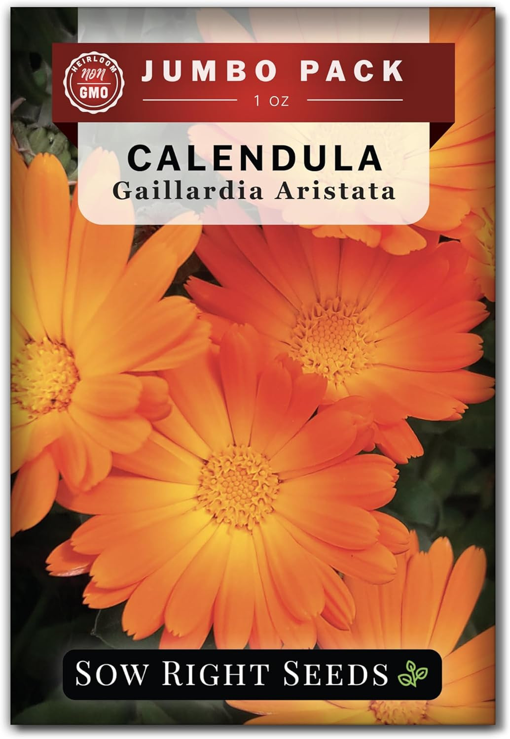 – Bulk Ball’s Orange Calendula Seeds for Planting – 1 Ounce, 2800 Seeds – Non-GM