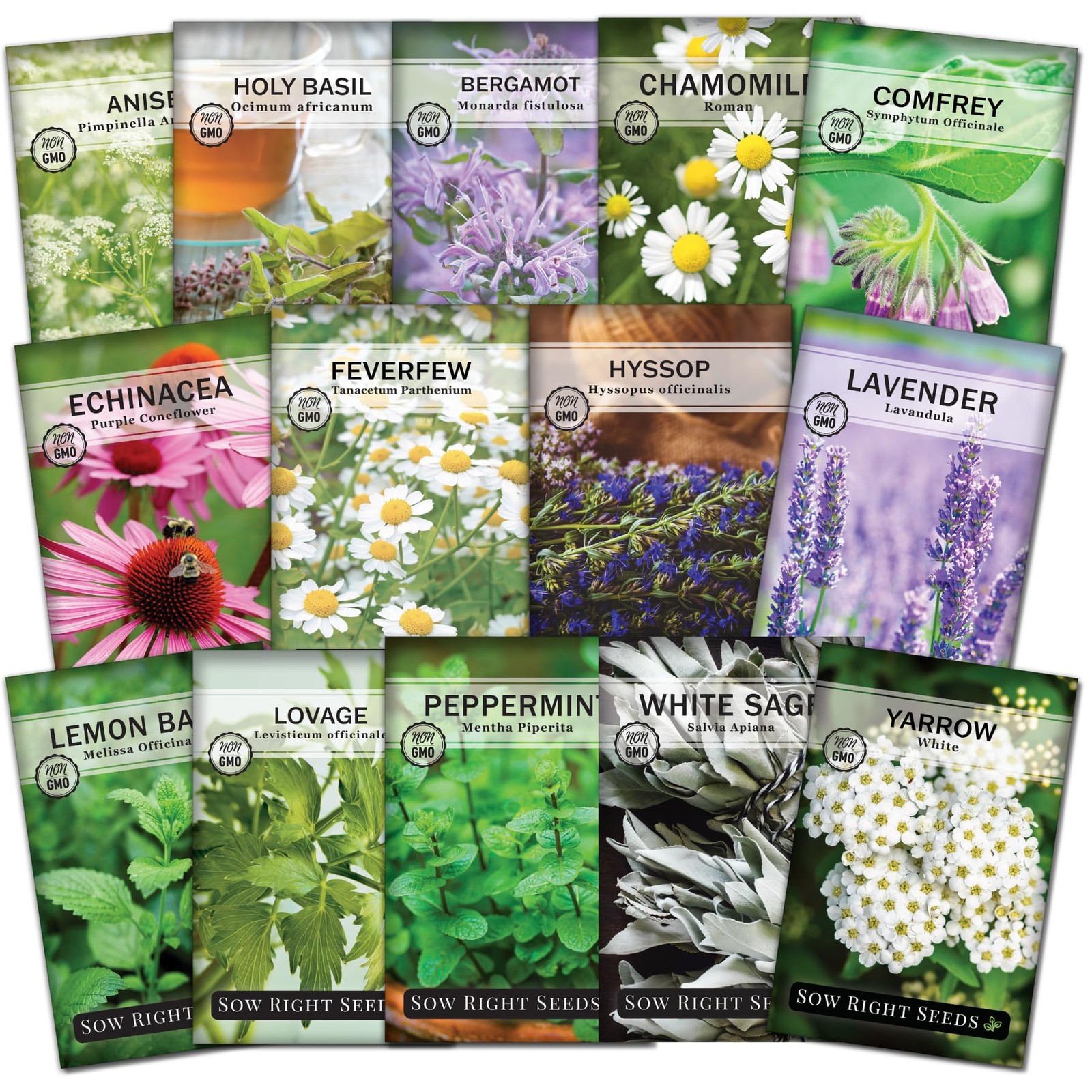 Medicinal Herb Seed Collection Planting 14 Packets NonGMO Heirloom Home Remedie