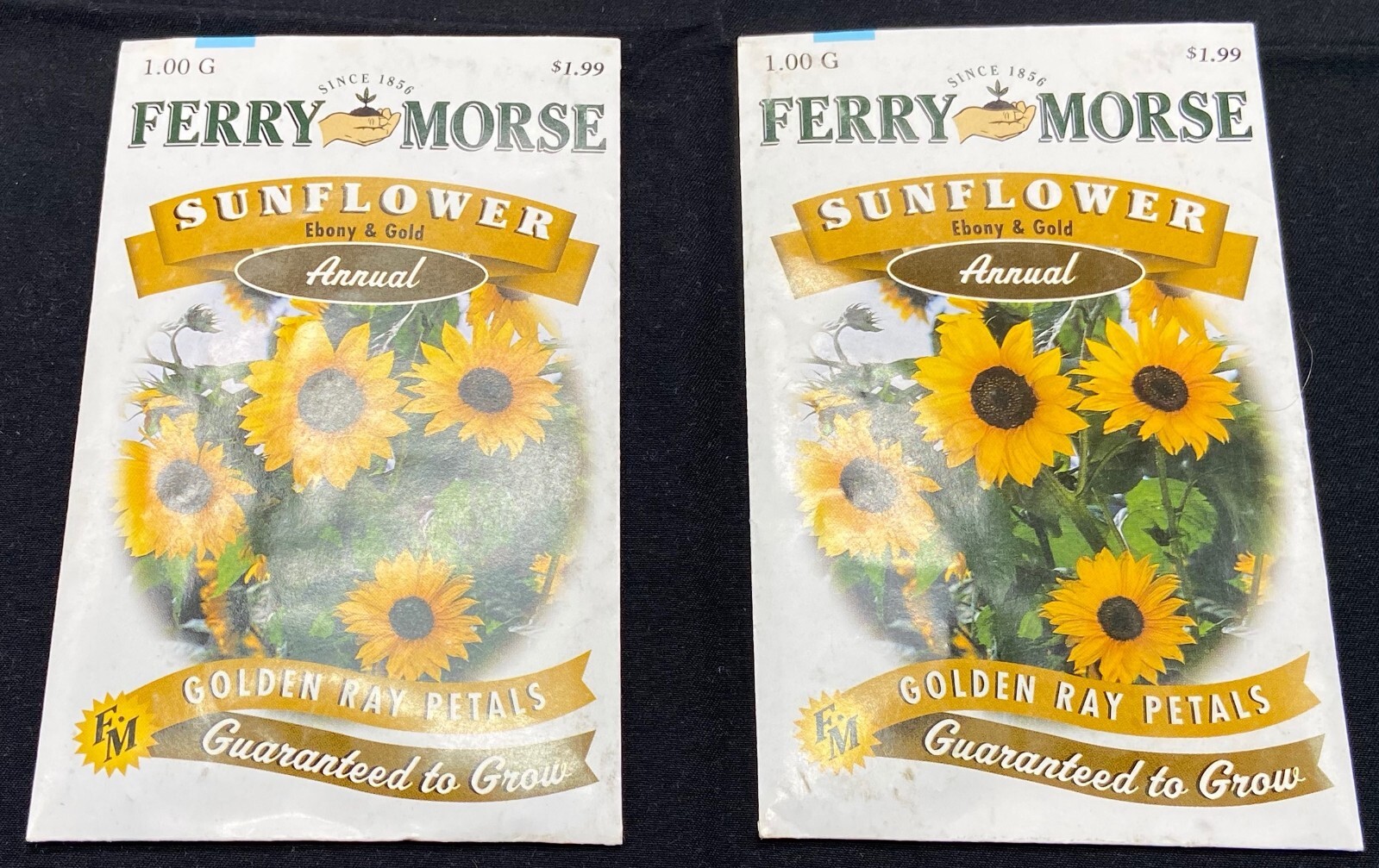 2 Ebony & Gold Sunflower Seed Packets Golden Ray Petals – Ferry Morse – 2 grams