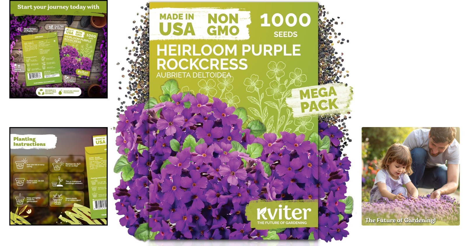 Aubrieta Deltoidea Seeds: 1,000 Organic Rock Cress Seeds for Lush Ground Cover