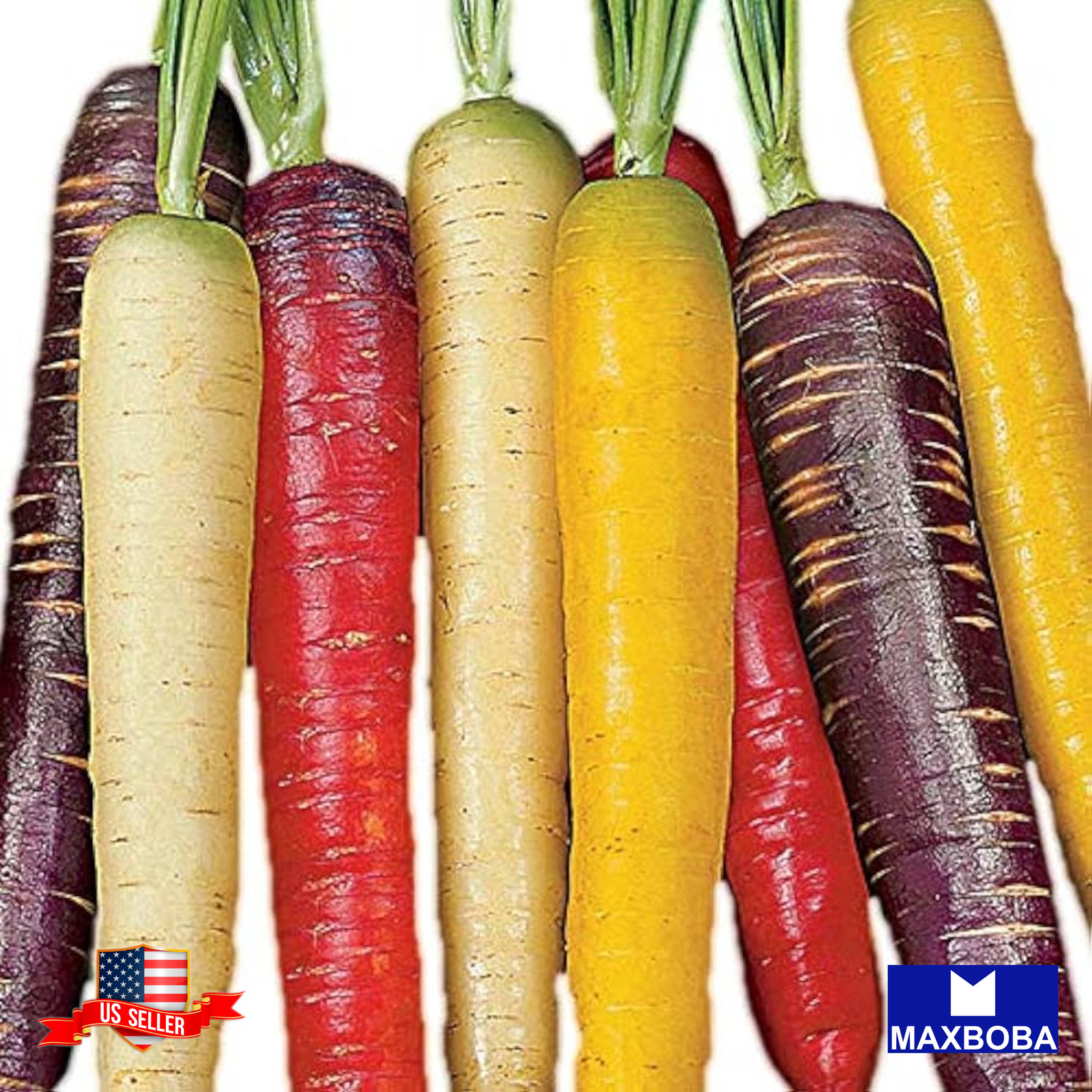Carrot Seeds Rainbow Blend Non-GMO Heirloom
