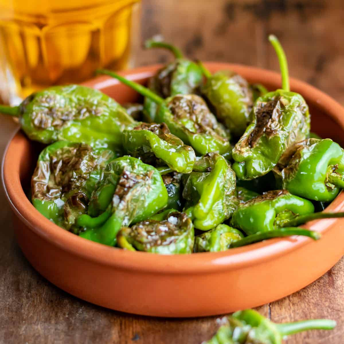 Premium Organic Heirloom Padrón Pepper Seeds – Perfect for Small-Space Gardening