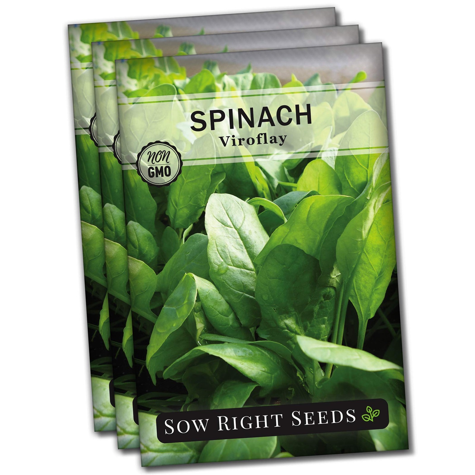 Viroflay Spinach Seeds – Non-GMO Heirloom for Hydroponic Vegetable Gardens