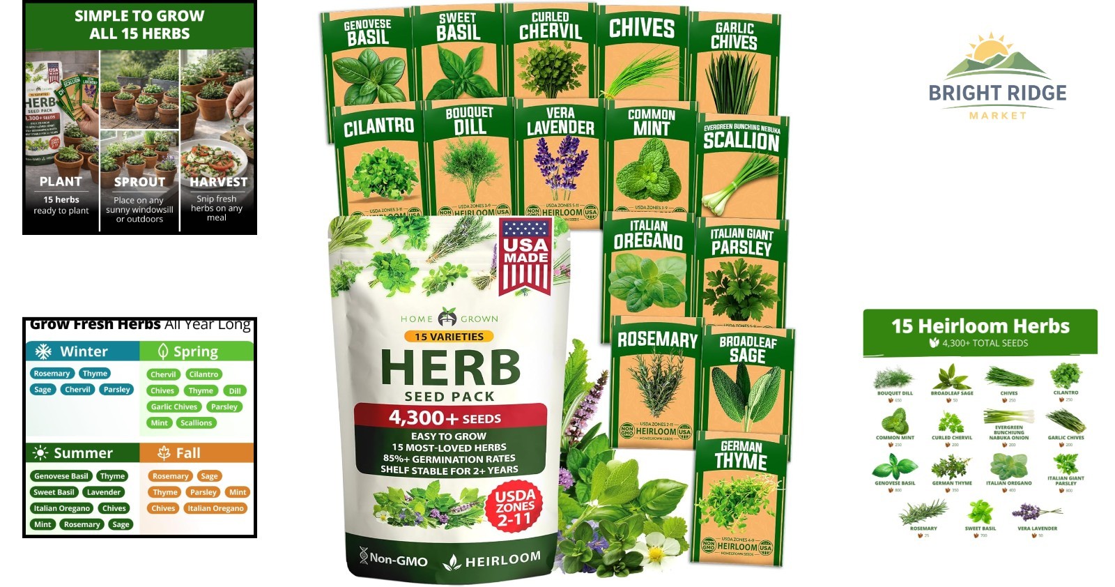 Grow Your Own Herbs: 15 Variety Non-GMO Seed Pack for All Skill Levels