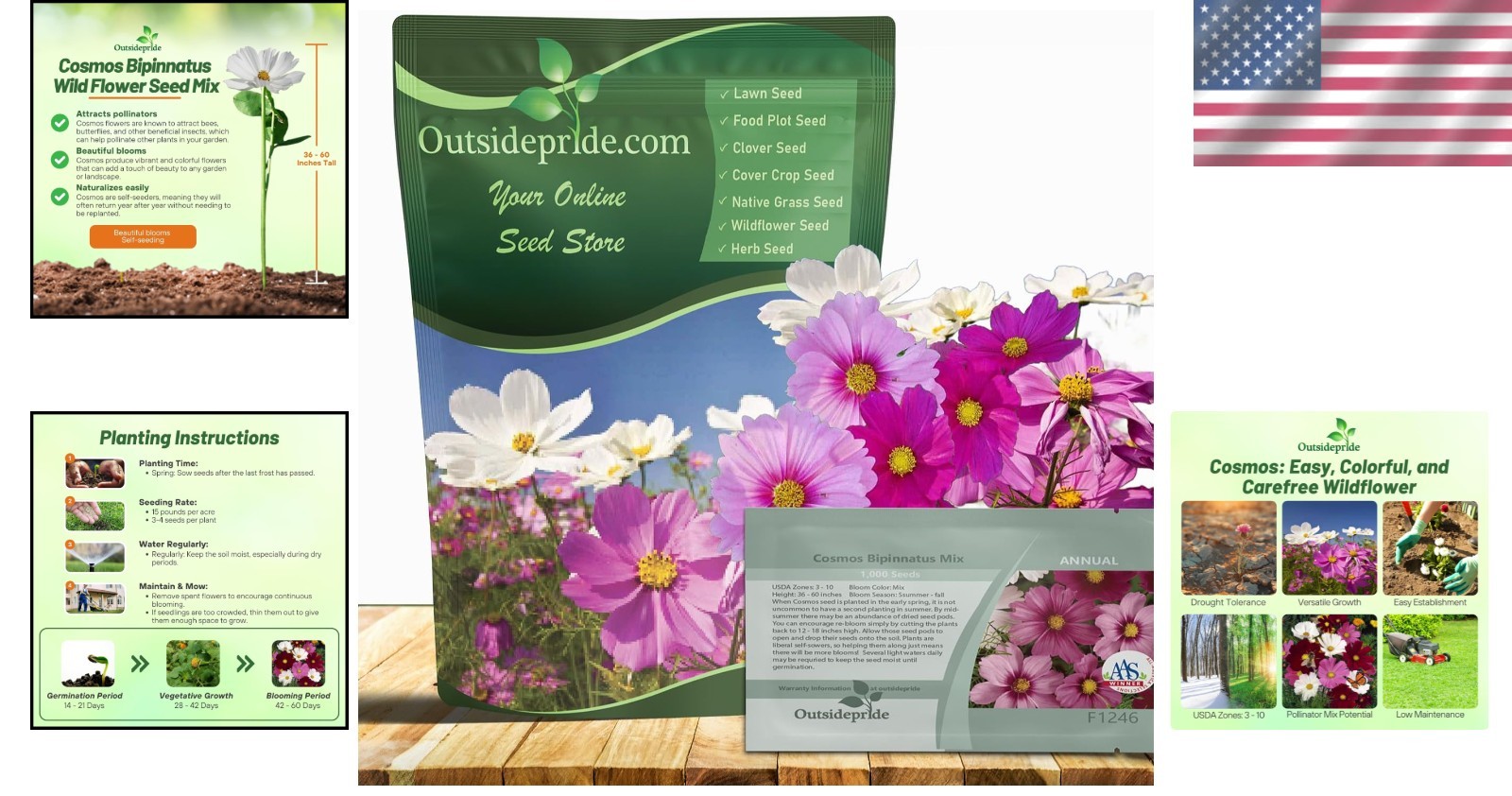 1 lb. Cosmos Bipinnatus Seeds – Low-Maintenance, Pollinator-Friendly Flowers