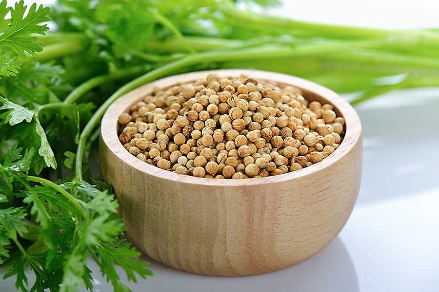 CORIANDER SEEDS 150gram ,NON-GMO verified-KOSHER,RAW,VEGAN – BY FOOD TO LIVE