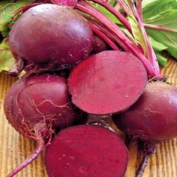 100+RUBY QUEEN BEETS Seeds Heirloom Vegetable Garden Patio Container Fast Easy