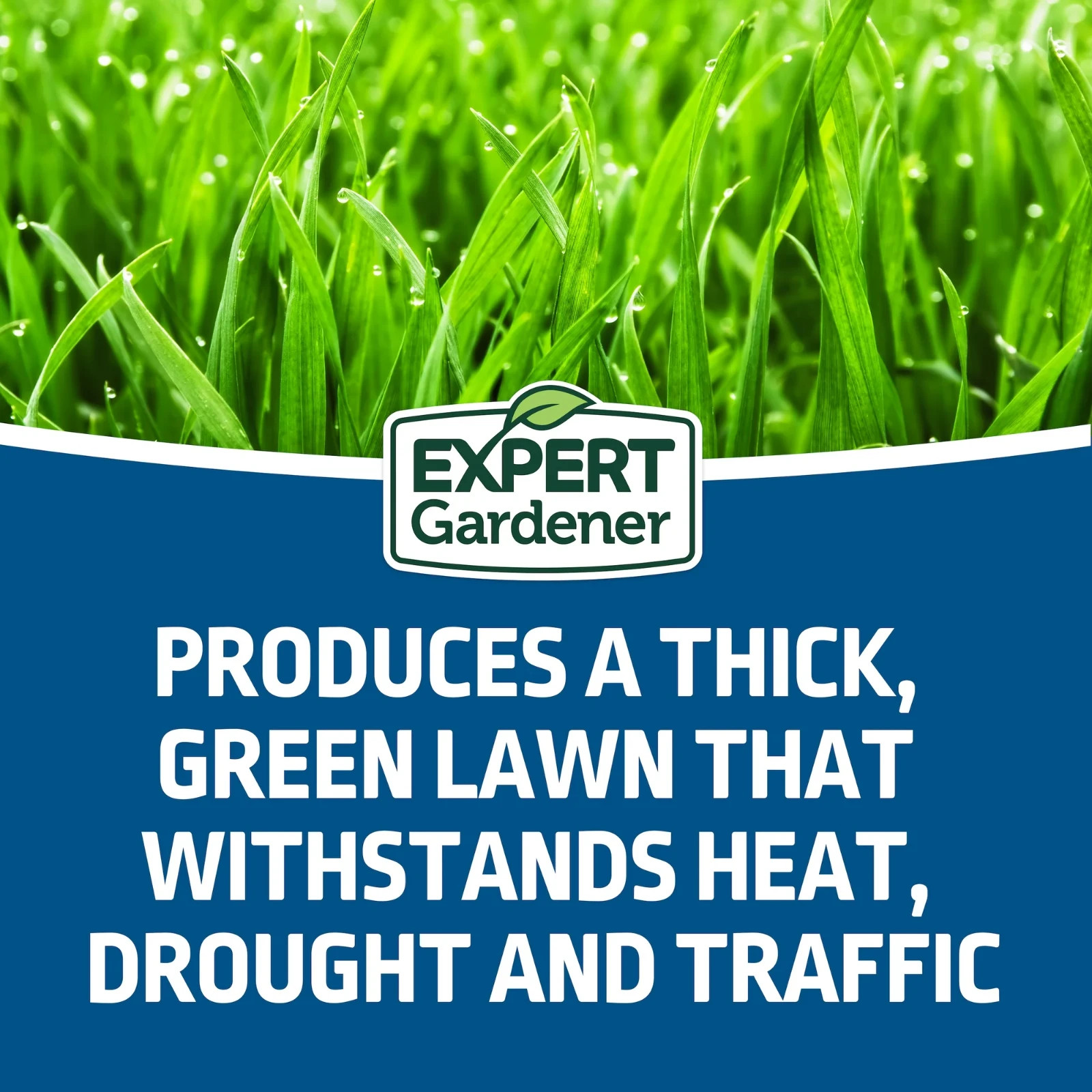 Kentucky Bluegrass Northern Grass Seed Mix, for Sun to Partial Shade, 7 lb. NEW