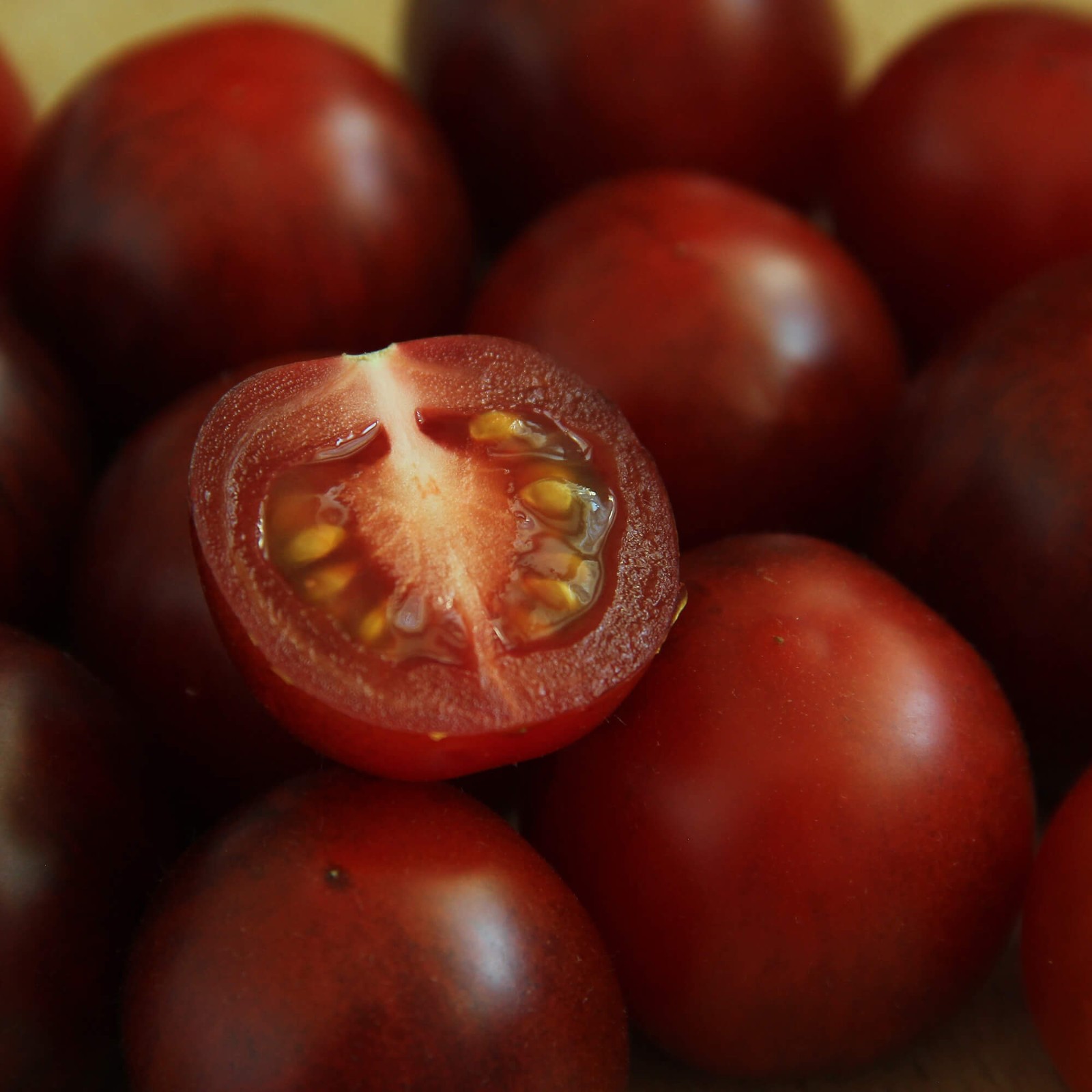 Chocolate Cherry Tomato Seeds | Heirloom / Non-GMO | Free Ship | 1302