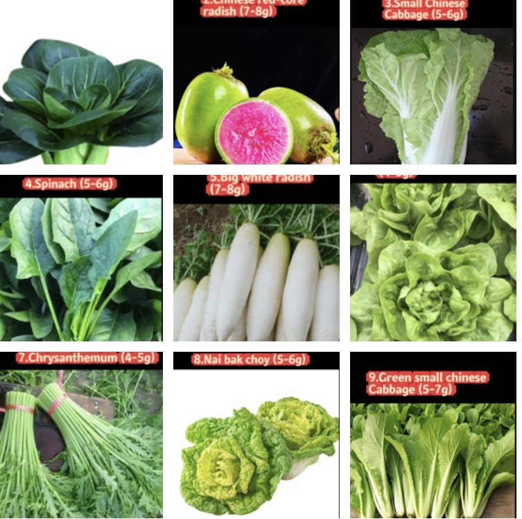 Asian Vegetable Seeds Survival Garden Kit -9 Varieties Spring & Autumn Seeds