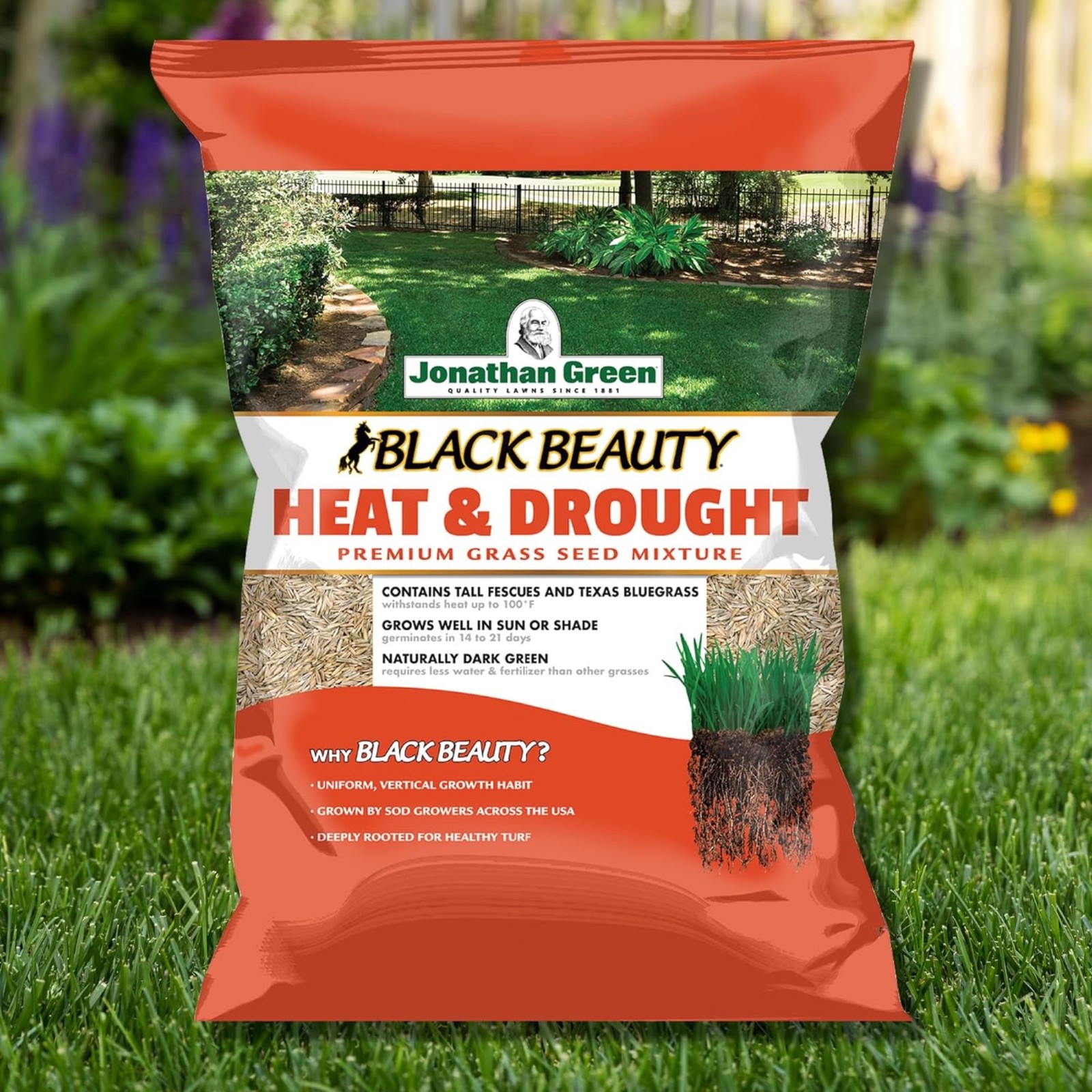 Jonathan Green Black Beauty Heat & Drought Resistant Grass Seed Mix, 3 lb