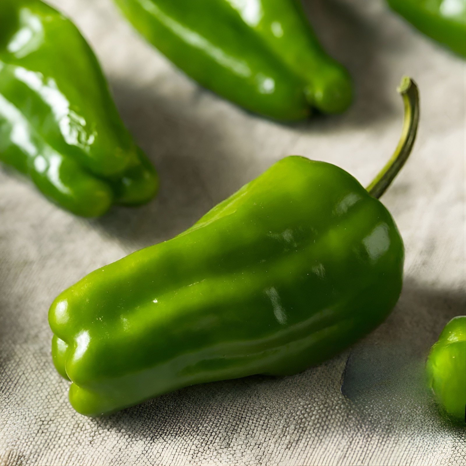 100ct Heirloom Sweet Cascadura Pepper Seeds – 6″ High Yield Sweet Pepper No Heat