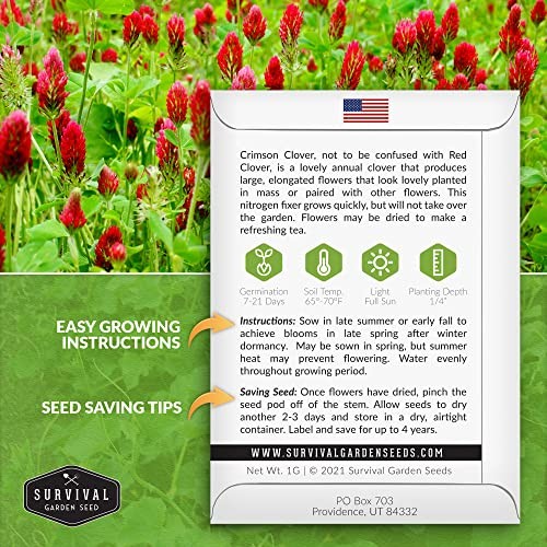 Crimson Clover Seeds for Planting – Heirloom Non-GMO Variety – Nitrogen 1