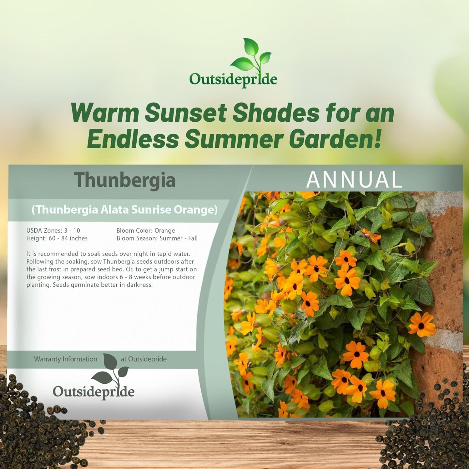200 Seeds Orange Thunbergia Seeds For Planting – Black Eyed Susan Vine