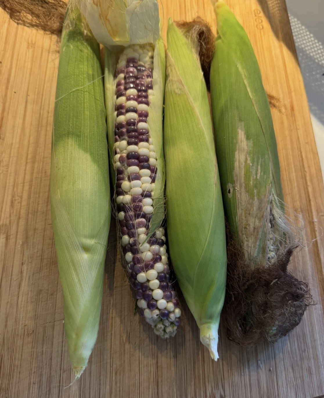 32 Organic Sticky Waxy Sweet White Purple Corn Seeds Non-GMO
