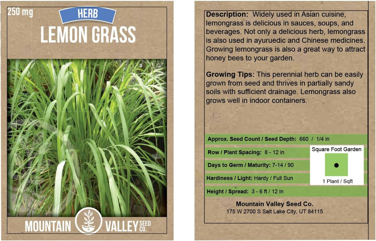 Lemon Grass Seeds for Planting Outdoor – 250 Mg Packet – Non-Gmo, Heirloom Culin