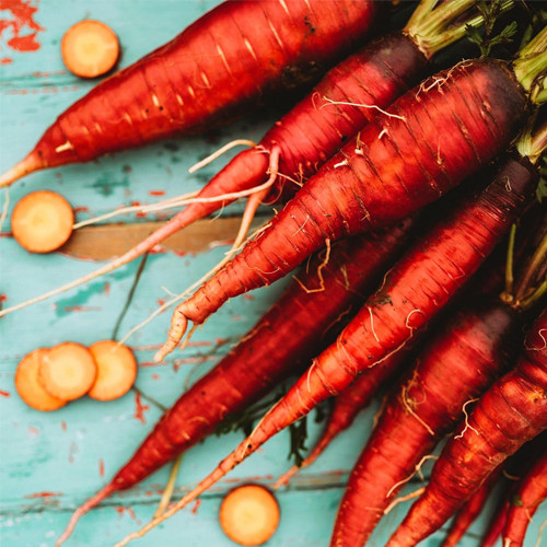 150 Seeds Roll over image to zoom in VIDEO Cosmic Purple Carrot