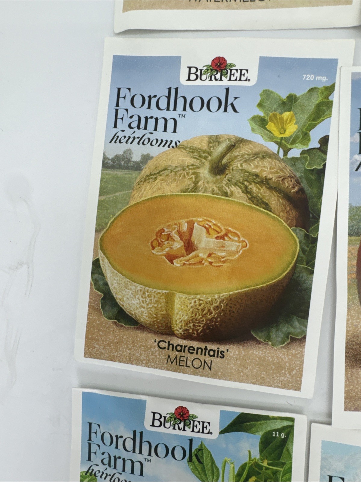 Fordhook Farm Heirlooms Burpee Non-GMO 288 Seed Packs 21 Mixed Varieties Prepper