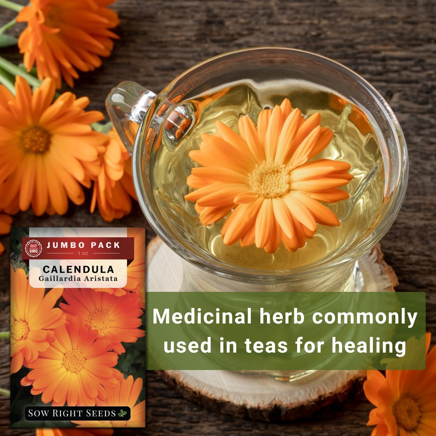 – Bulk Ball’s Orange Calendula Seeds for Planting – 1 Ounce, 2800 Seeds – Non-GM