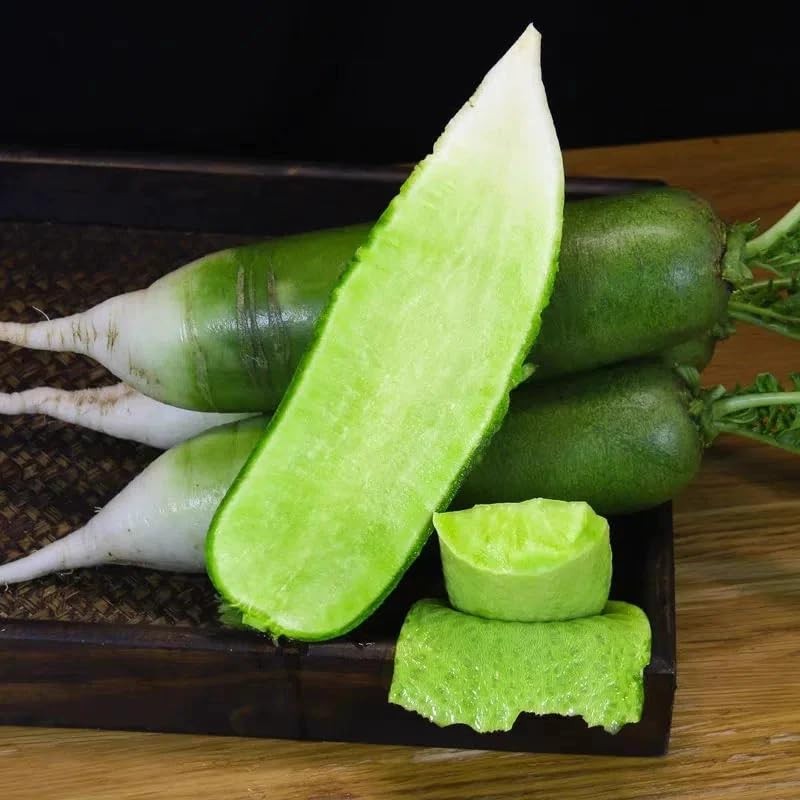 Green Skin Sweet Radish Seeds for Planting, 100+ Green Turnip Radish Seeds,