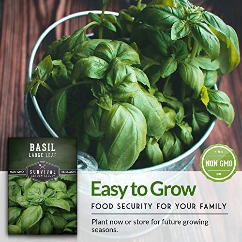 Easy to Grow Herb Seeds Variety Pack | 5 Heirloom Kitchen Herbs for Planting –