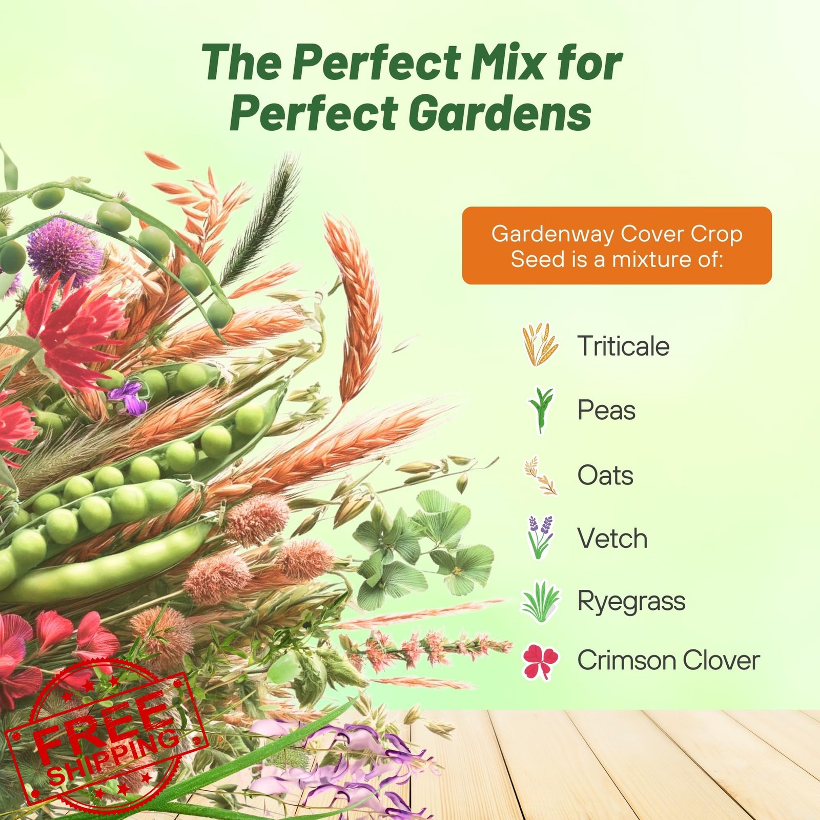 Outsidepride Gardenway Cover Crop Seeds 10 lb Mix