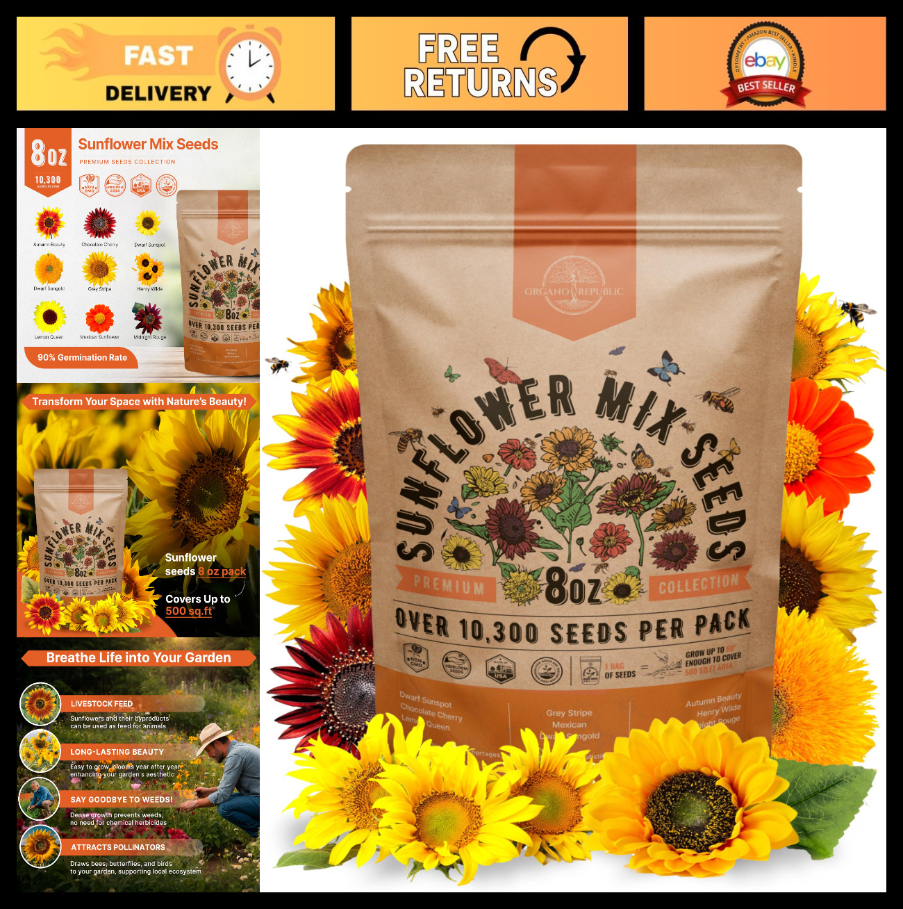 8 oz Non-GMO Heirloom Sunflower Seeds Mix – 10,300+ Seeds for Home Garden