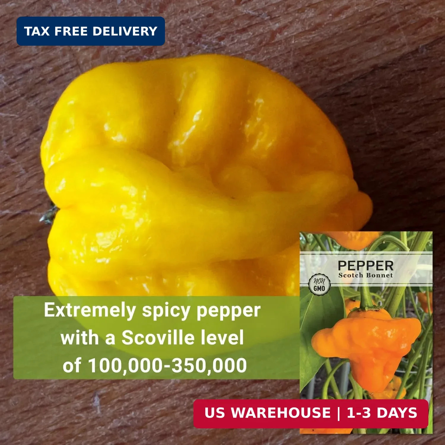 Sow Right Seeds – Scotch Bonnet Pepper Seeds for Planting – Hot Non-GMO Heirloom