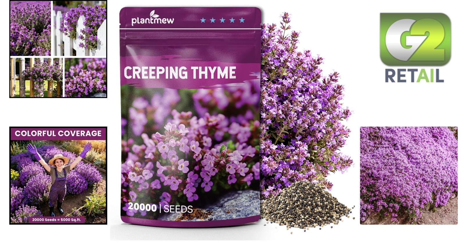 Pollinator-Friendly Creeping Thyme Seeds – 20000+ Seeds for Your Garden 0.35 Oz