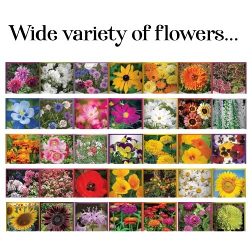 35 Flower Seed Packets – Perennial, Annual & Wildflower Seeds for Bees & Butterf