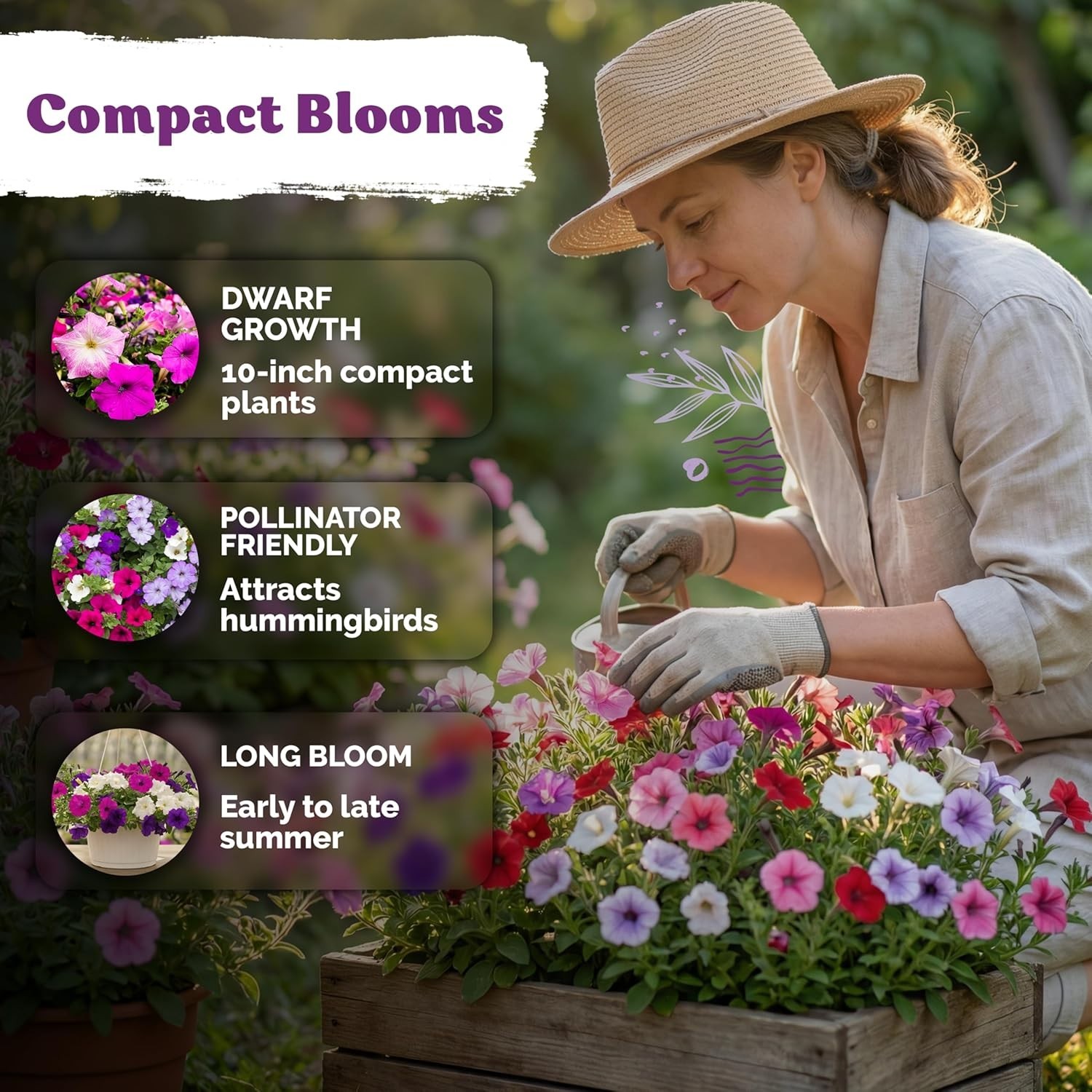 Create a Colorful Garden: 2,000 Heirloom Dwarf Petunia Seeds for Every Space