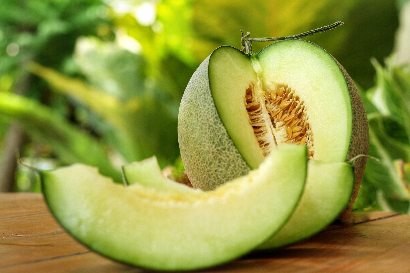 1-OZ Green Flesh ROCKY FORD CANTALOUPE Muskmelon Cucumis Melo Melon Fruit Seeds