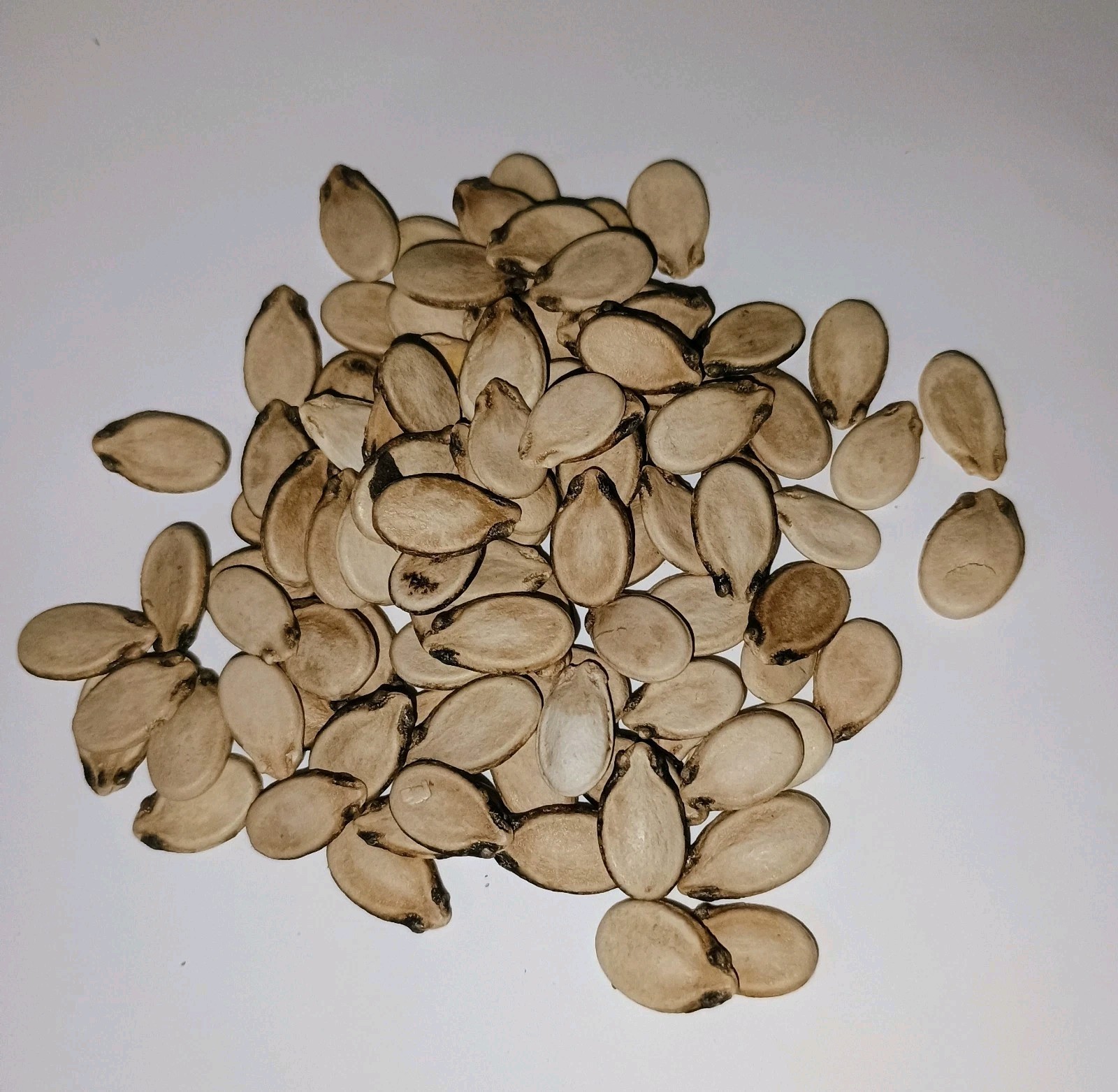 WATERMELON Tender Sweet Orange seed NO-GMO seeds garden High GerminationHeirloom