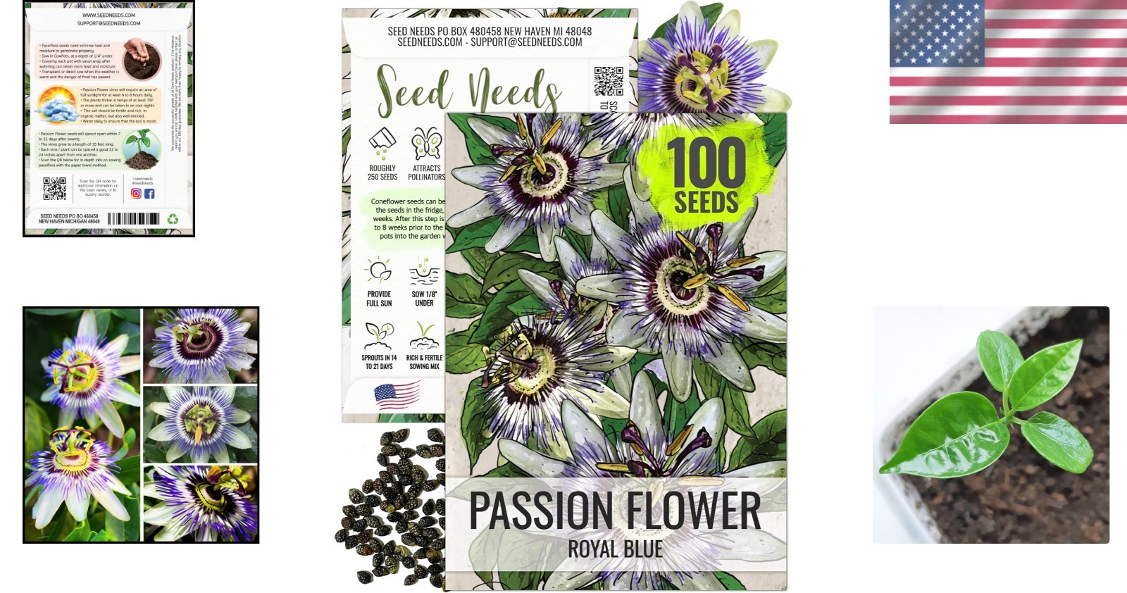 Tropical Blue Passion Flower Seeds – 100 Open Pollinated Heirloom Seeds Pack