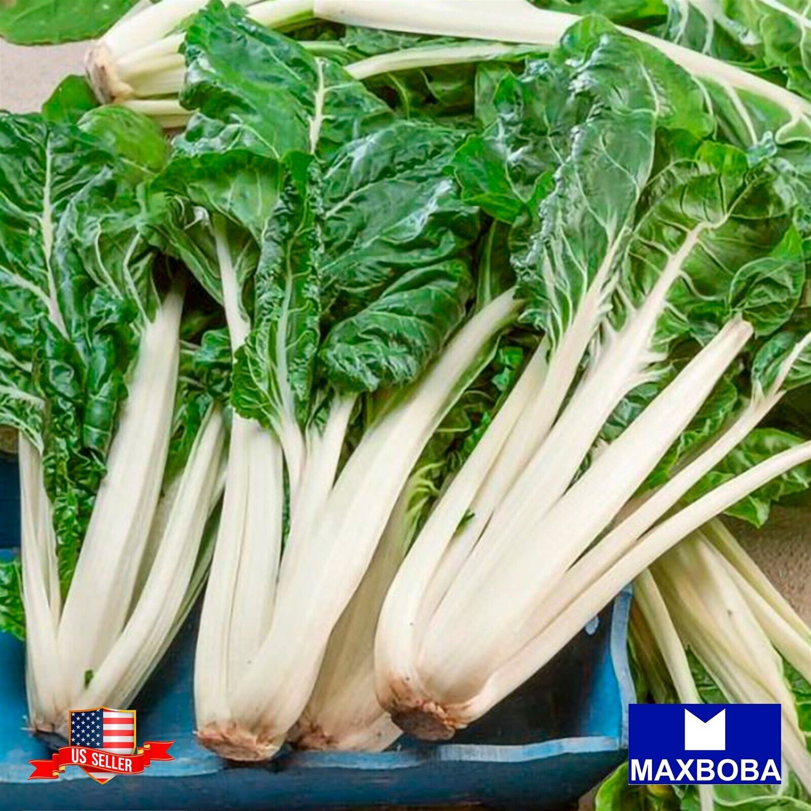 Fresh!!Swiss Chard Seeds – Fordhook Giant Non-GMO Heirloom Vegetable Garden