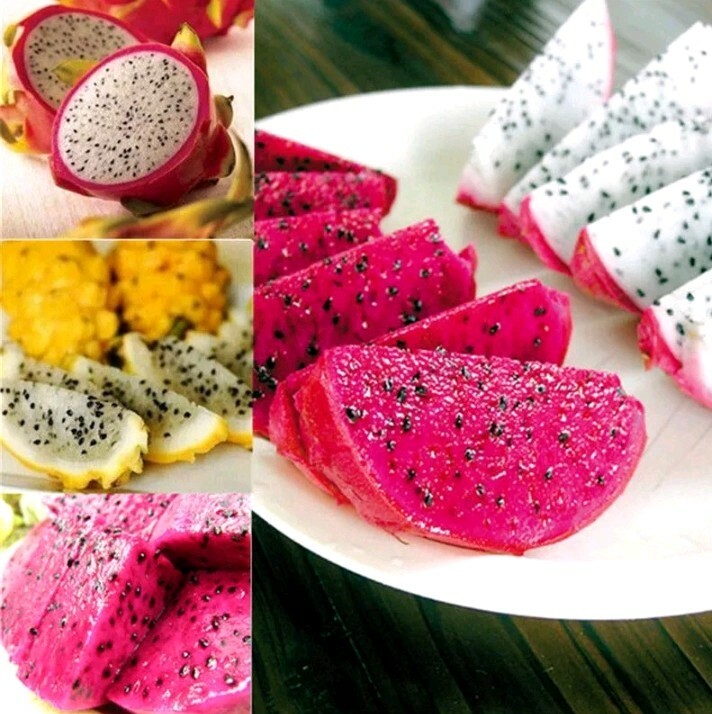 USA SELLER Dragon Fruit Mix (Red,purple, Yellow,White) 50 seeds HEIRLOOM