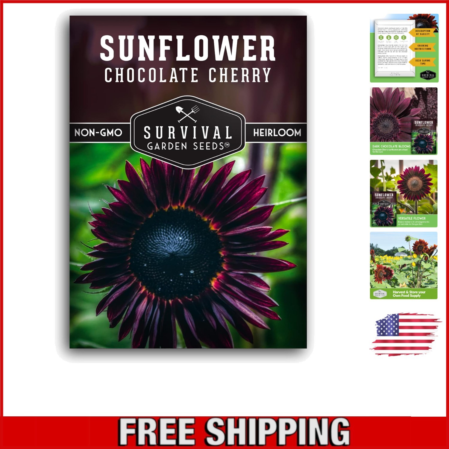 Giant Burgundy-Black Chocolate Cherry Sunflower Seeds – Summer to Fall Blooms