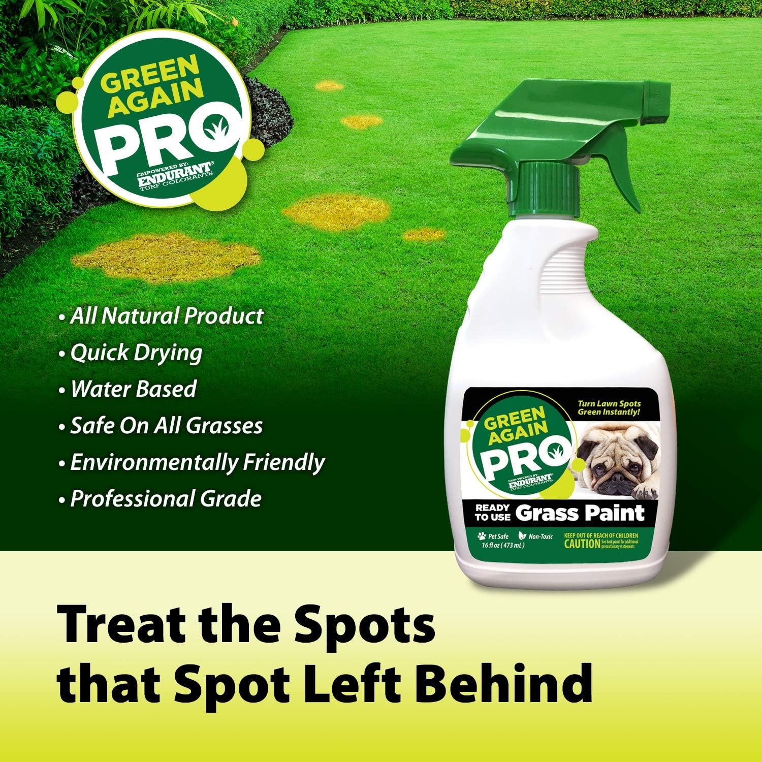 Pre-Mixed Grass and Turf Paint – All Natural Pet-Friendly Cool Season Green