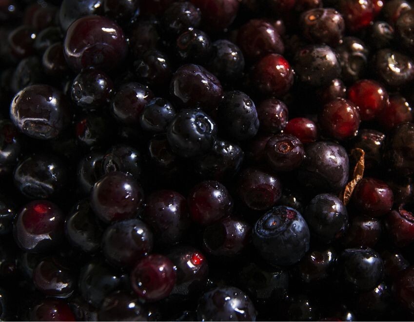 125 Huckleberry Seeds, USA Seller Free Shipping Fruit Seeds Fragrant