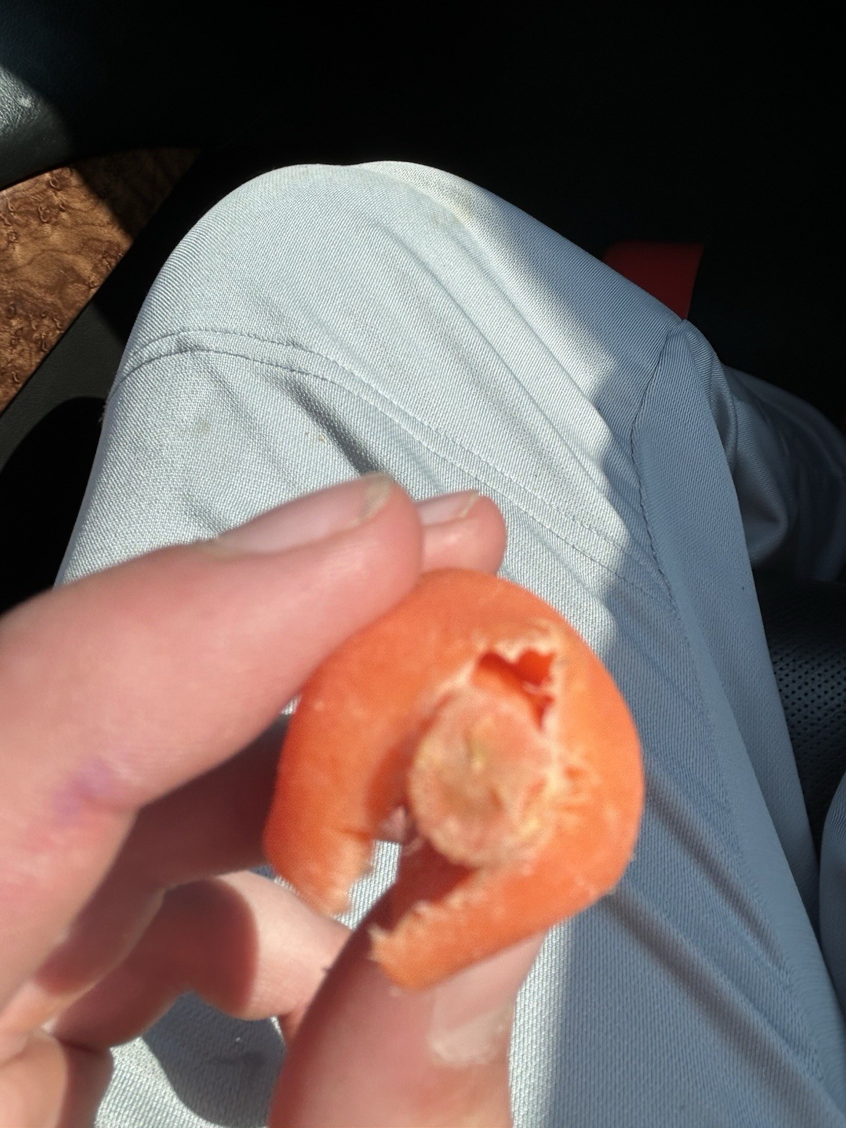 Carrot