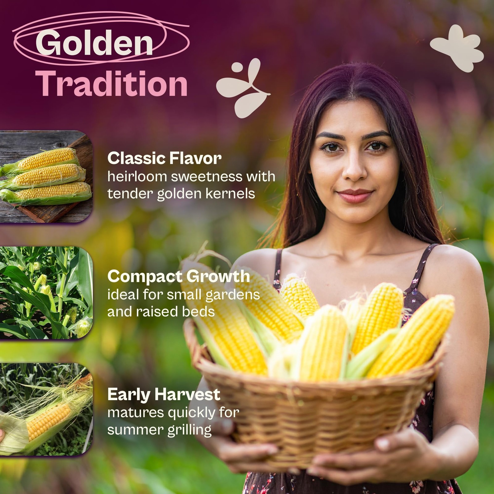 Golden Bantam Corn Seeds – Non-GMO Yellow Sweet Corn for Vegetable Gardens